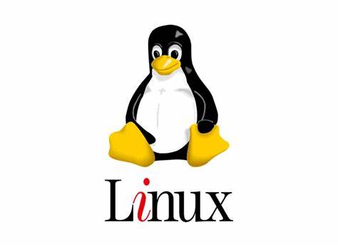 Linux常用命令及针对问题